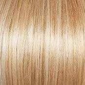 Carte Blanche Large Wig by Gabor | Synthetic Lace Front (Hand Tied)