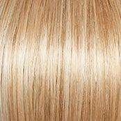 Carte Blanche Large Wig by Gabor | Synthetic Lace Front (Hand Tied)
