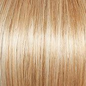 Carte Blanche Large Wig by Gabor | Synthetic Lace Front (Hand Tied)