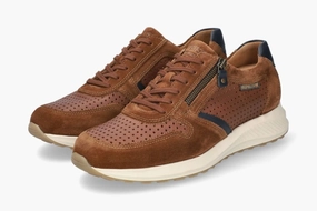 Dino - Perf Brown 3658
