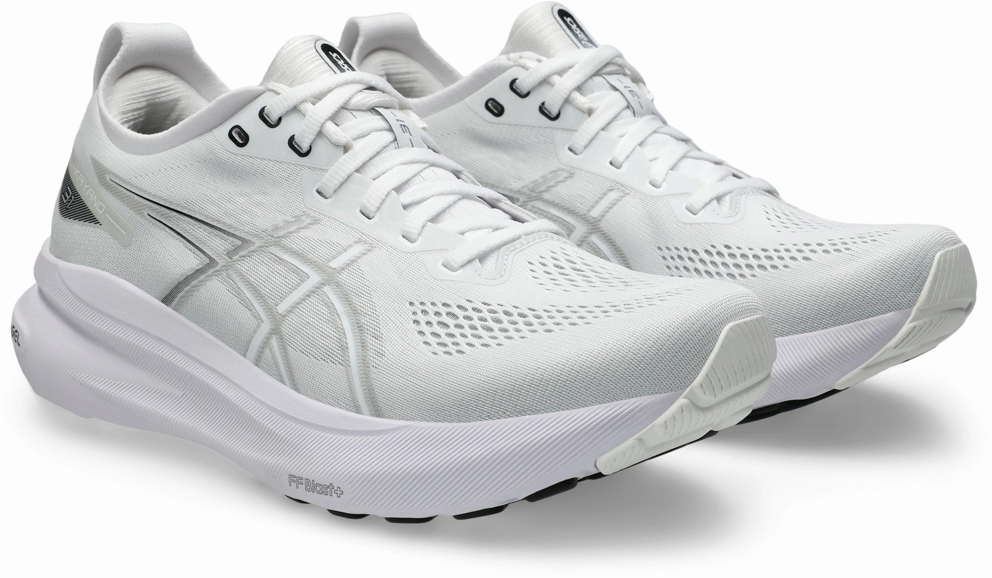 Gel Kayano 31 Men's Running Shoes (Width D)