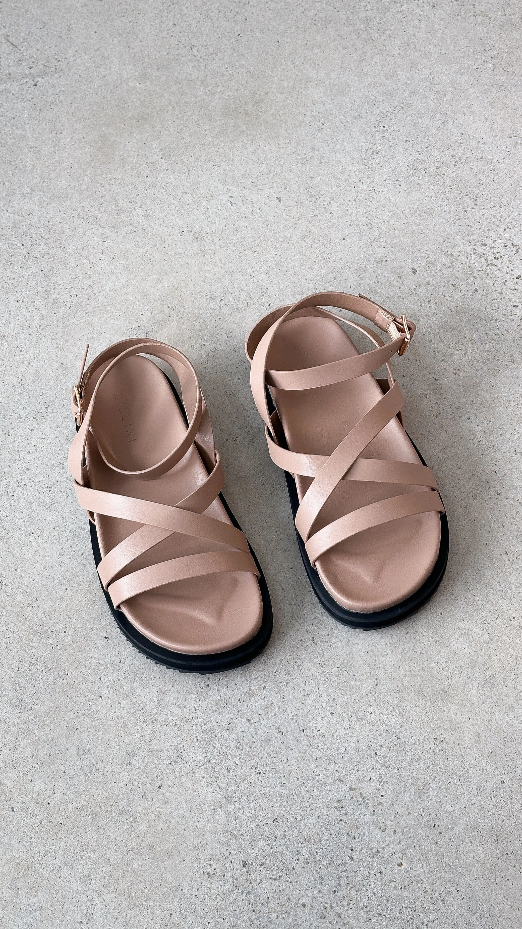 Tulsi Sandal - Light Cashew